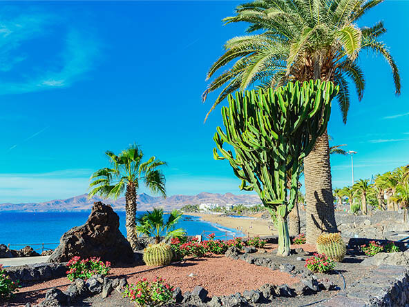 2024 2025 2026 Cruise Destinations Cruises Around The World   Captivating Canary Islands Regional 